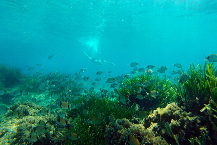 Tour guiado en kayak y snorkel explorando las calas del Parque Natural de Cabo de Gata, Almería, foto 10 | wizardtrip