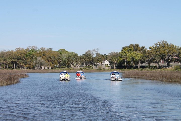 CraigCat boottocht avontuur op de waterwegen van Amelia Island, met wildlife en historische bezienswaardigheden, foto 6 | wizardtrip