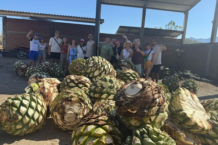 Dagtocht naar Hierve el Agua, Tuleboom, Mitla-ruïnes en een mezcal-distilleerderij in Oaxaca, Mexico, foto 8 | wizardtrip