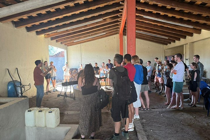 Dagtocht naar Hierve el Agua, Tuleboom, Mitla-ruïnes en een mezcal-distilleerderij in Oaxaca, Mexico, foto 11 | wizardtrip