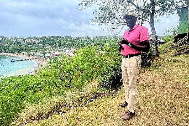 Verken de hoogtepunten van St. Lucia, waaronder markten, watervallen en iconische Pitons tijdens een begeleide tour, foto 16 | wizardtrip