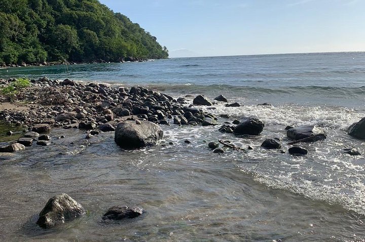 Verken de hoogtepunten van St. Lucia, waaronder markten, watervallen en iconische Pitons tijdens een begeleide tour, foto 24 | wizardtrip