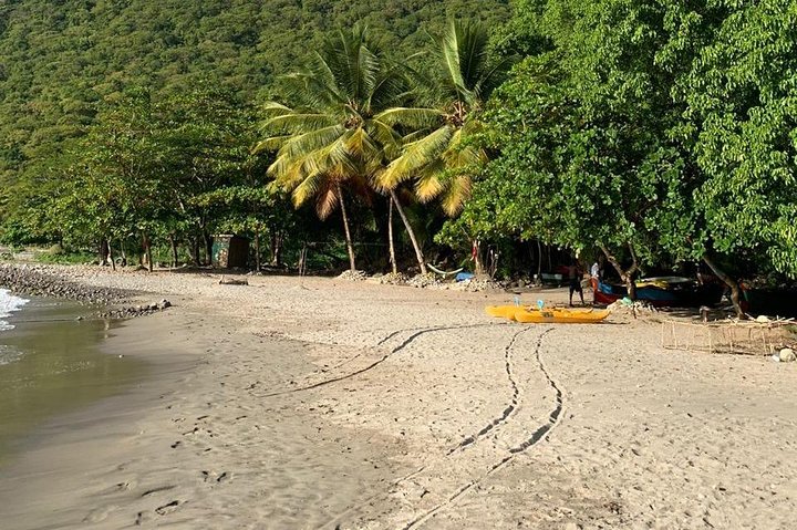 Verken de hoogtepunten van St. Lucia, waaronder markten, watervallen en iconische Pitons tijdens een begeleide tour, foto 25 | wizardtrip