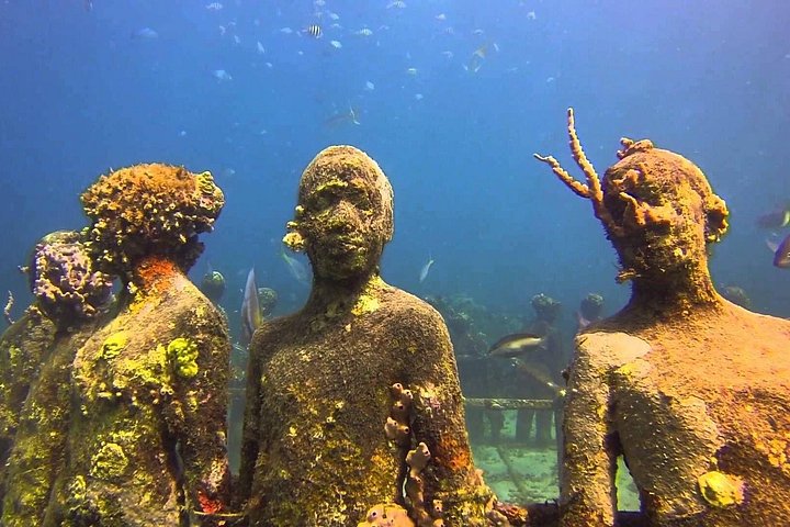 Profitez d'une visite guidée en plongée avec tuba des sculptures sous-marines uniques de Grenade et de ses récifs coralliens vibrants, photo 2 | wizardtrip