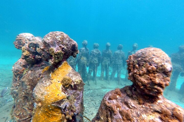 Profitez d'une visite guidée en plongée avec tuba des sculptures sous-marines uniques de Grenade et de ses récifs coralliens vibrants, photo 12 | wizardtrip