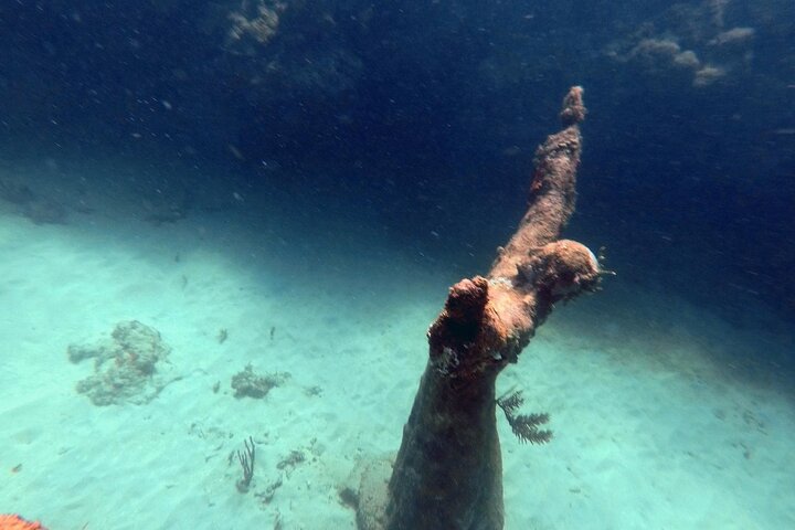 Profitez d'une visite guidée en plongée avec tuba des sculptures sous-marines uniques de Grenade et de ses récifs coralliens vibrants, photo 13 | wizardtrip