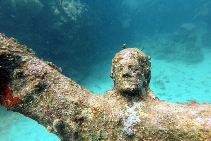 Profitez d'une visite guidée en plongée avec tuba des sculptures sous-marines uniques de Grenade et de ses récifs coralliens vibrants, photo 14 | wizardtrip