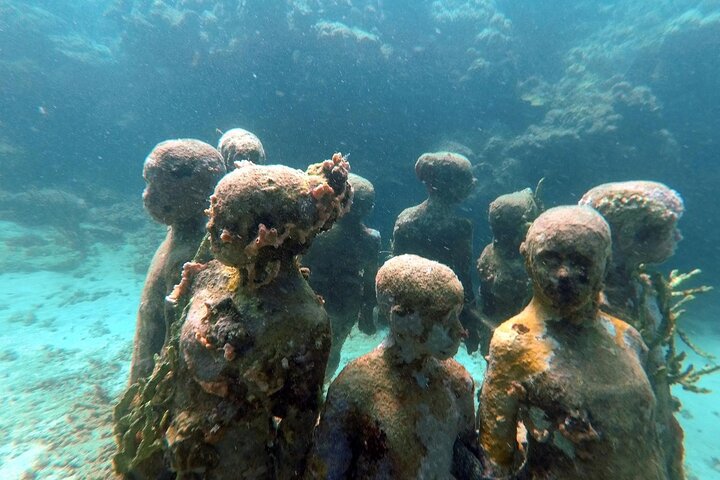 Profitez d'une visite guidée en plongée avec tuba des sculptures sous-marines uniques de Grenade et de ses récifs coralliens vibrants, photo 18 | wizardtrip