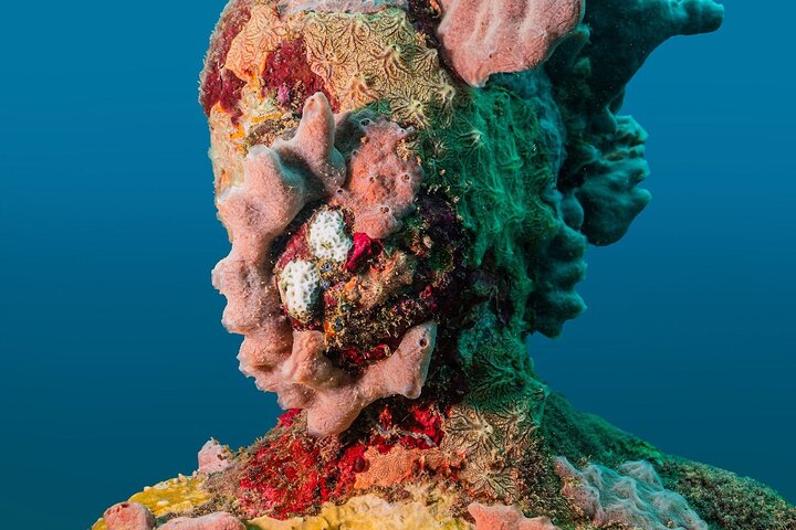 Profitez d'une visite guidée en plongée avec tuba des sculptures sous-marines uniques de Grenade et de ses récifs coralliens vibrants, photo 39 | wizardtrip