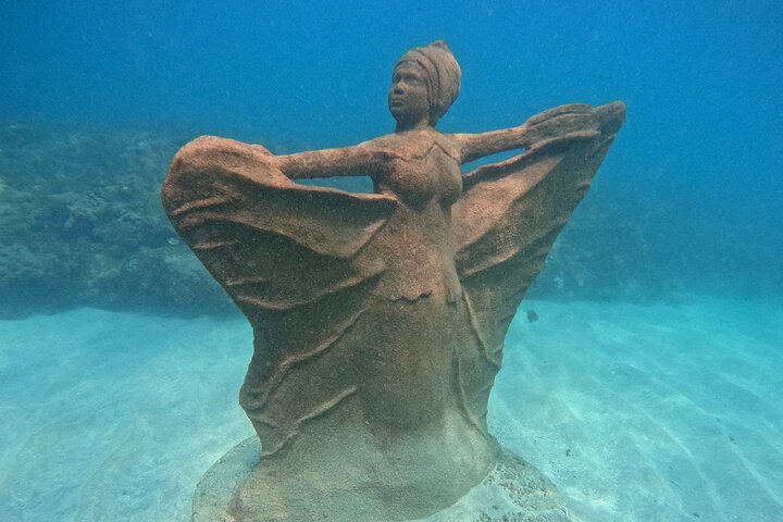 Profitez d'une visite guidée en plongée avec tuba des sculptures sous-marines uniques de Grenade et de ses récifs coralliens vibrants, photo 41 | wizardtrip