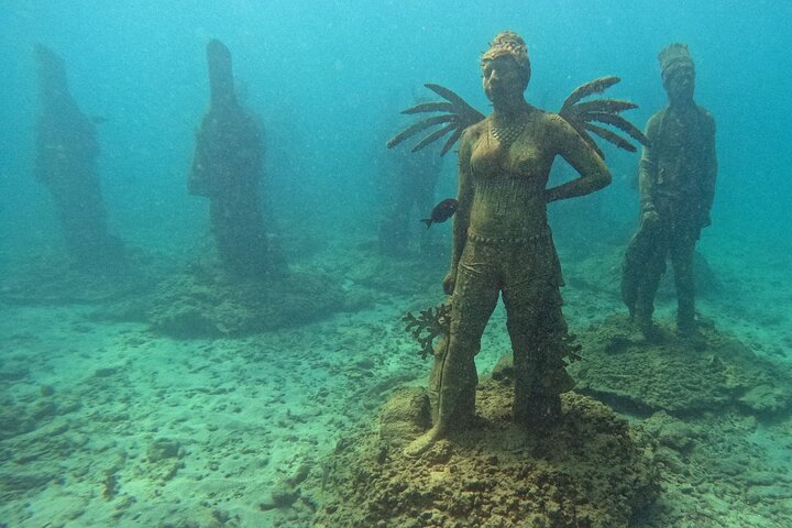 Profitez d'une visite guidée en plongée avec tuba des sculptures sous-marines uniques de Grenade et de ses récifs coralliens vibrants, photo 43 | wizardtrip