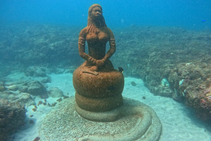 Profitez d'une visite guidée en plongée avec tuba des sculptures sous-marines uniques de Grenade et de ses récifs coralliens vibrants, photo 45 | wizardtrip