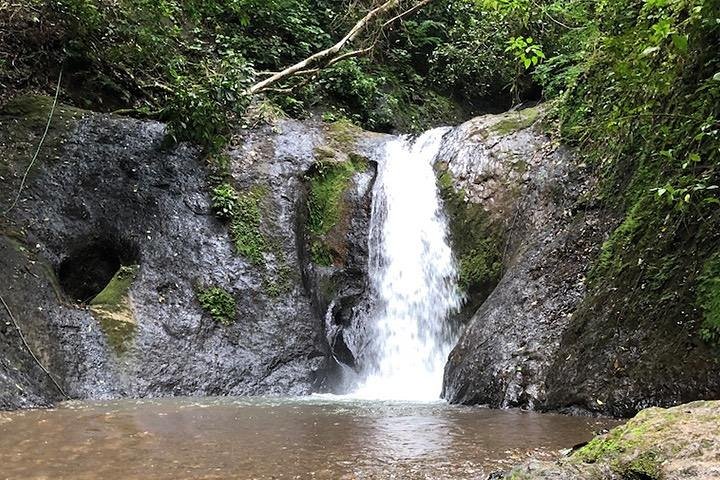 Balade exaltante en buggy à travers la forêt tropicale et les montagnes du Costa Rica près de Jaco, photo 6 | wizardtrip