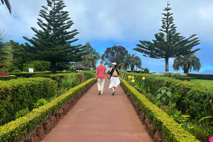 Tour em pequeno grupo explorando as cascatas escondidas, miradouros e paisagens verdejantes de São Miguel em Nordeste, Portugal, foto 10 | wizardtrip