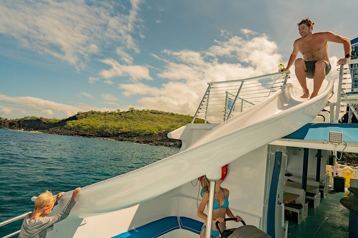 Tour de snorkel y avistamiento de delfines en catamarán de lujo desde Kailua-Kona, Big Island, Hawái, foto 9 | wizardtrip
