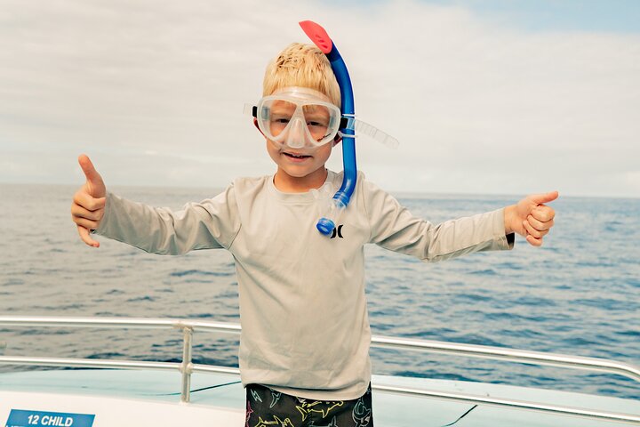 Tour de snorkel y avistamiento de delfines en catamarán de lujo desde Kailua-Kona, Big Island, Hawái, foto 13 | wizardtrip