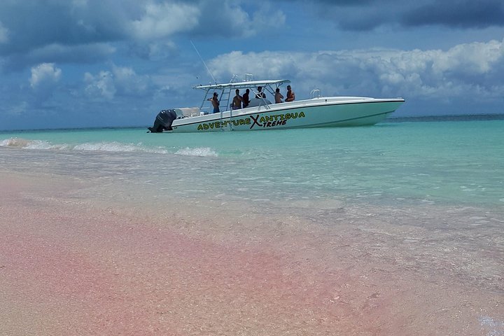 Tour en vedette autour d'Antigua, visitant Stingray City, Nelson's Dockyard et des plages isolées, photo 6 | wizardtrip