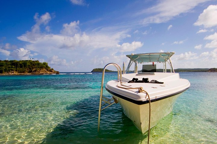 Tour en vedette autour d'Antigua, visitant Stingray City, Nelson's Dockyard et des plages isolées, photo 7 | wizardtrip