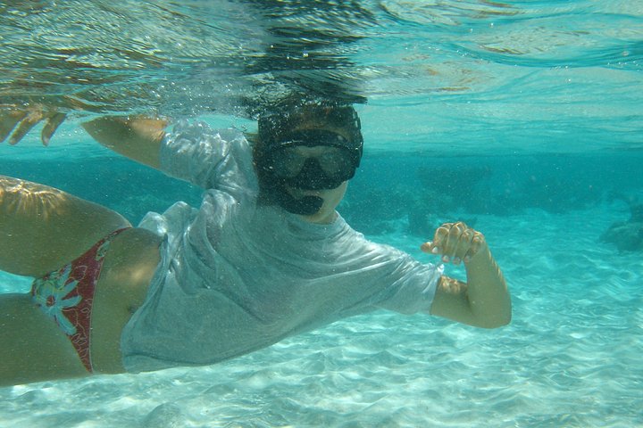 Tour en vedette autour d'Antigua, visitant Stingray City, Nelson's Dockyard et des plages isolées, photo 13 | wizardtrip