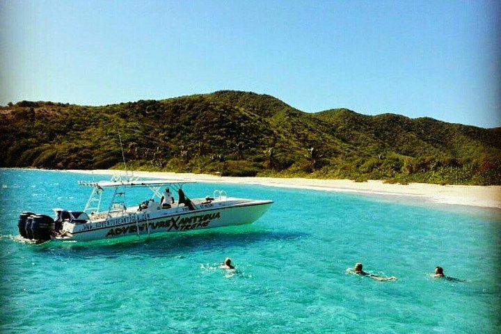Tour en vedette autour d'Antigua, visitant Stingray City, Nelson's Dockyard et des plages isolées, photo 16 | wizardtrip