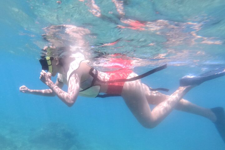 Guidet snorkletur fra land i Poipu, Kauai, som utforsker marint liv og korallrev, foto 9 | wizardtrip