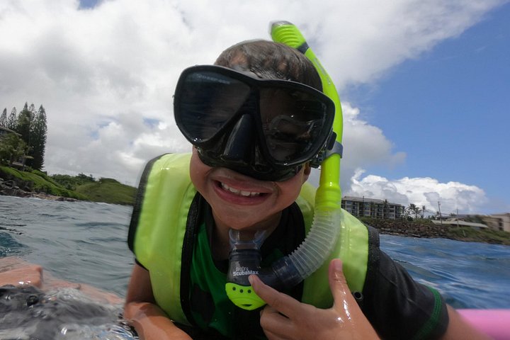 Guidet snorkletur fra land i Poipu, Kauai, som utforsker marint liv og korallrev, foto 12 | wizardtrip