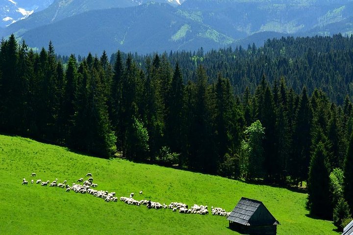 Naturskøn udsigt over Zakopane, Tatra-bjergene og traditionel polsk arkitektur, foto 13 | wizardtrip
