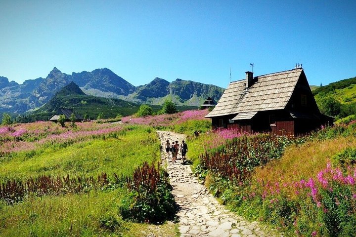 Naturskøn udsigt over Zakopane, Tatra-bjergene og traditionel polsk arkitektur, foto 31 | wizardtrip