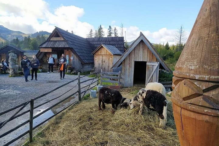 Upplev Zakopanes bergskönhet, traditionella kultur och termalavkoppling från Krakow, foto 20 | wizardtrip
