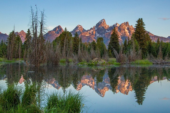 Sunrise 4-Hour Grand Teton Wildlife Adventure | wizardtrip