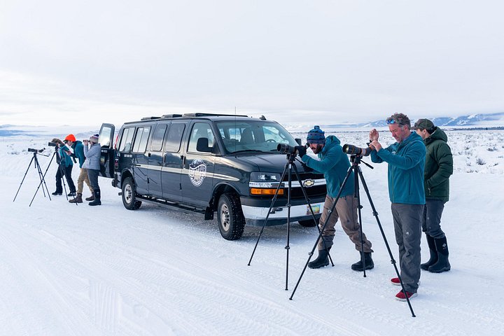 Visite d'observation de la faune dans le parc national de Grand Teton avec véhicules de safari et guides experts, photo 6 | wizardtrip