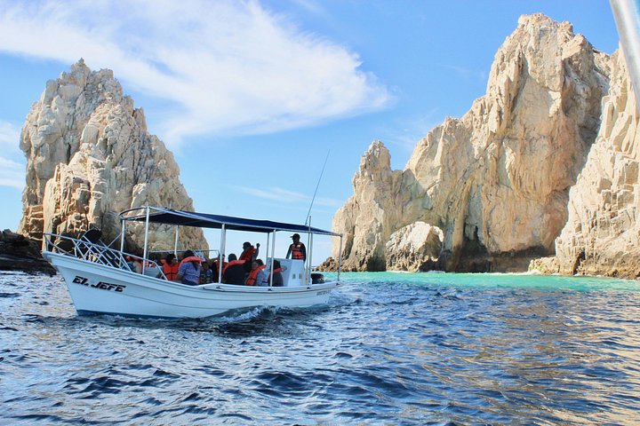 Excursion panoramique en bateau vers l'Arche de Cabo San Lucas, avec faune marine et formations rocheuses, photo 11 | wizardtrip
