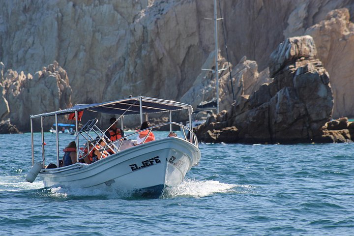 Excursion panoramique en bateau vers l'Arche de Cabo San Lucas, avec faune marine et formations rocheuses, photo 12 | wizardtrip