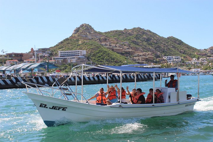 Excursion panoramique en bateau vers l'Arche de Cabo San Lucas, avec faune marine et formations rocheuses, photo 13 | wizardtrip