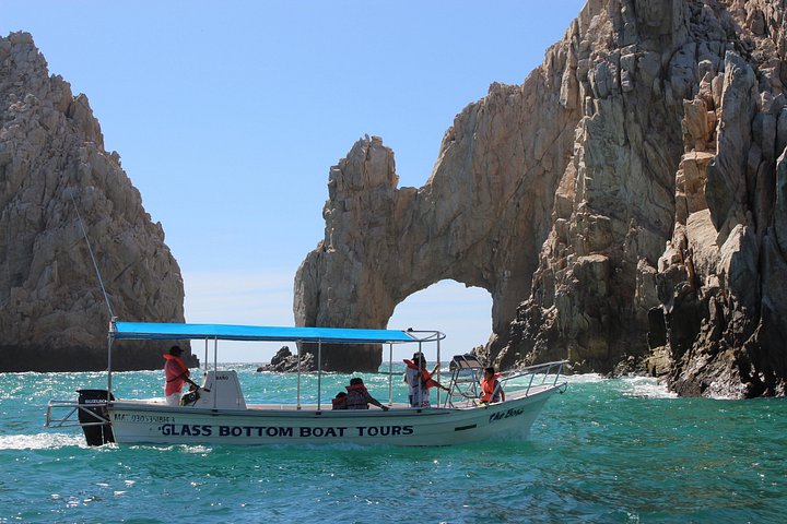 Excursion panoramique en bateau vers l'Arche de Cabo San Lucas, avec faune marine et formations rocheuses, photo 14 | wizardtrip