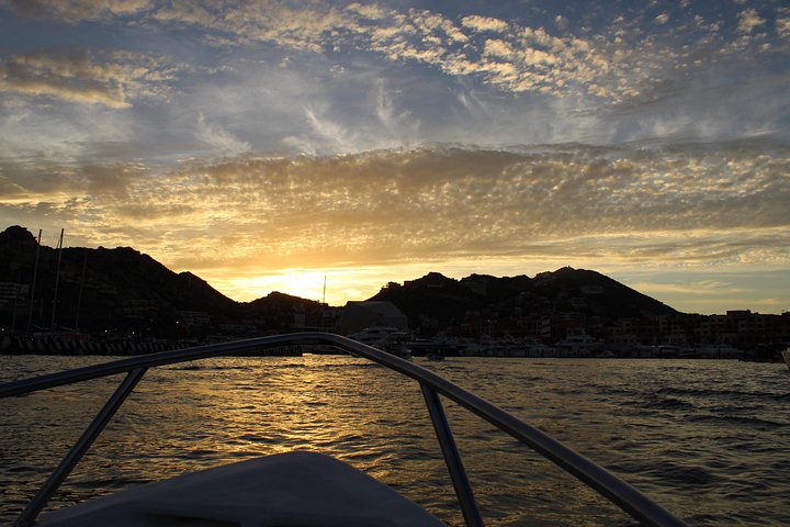 Excursion panoramique en bateau vers l'Arche de Cabo San Lucas, avec faune marine et formations rocheuses, photo 15 | wizardtrip