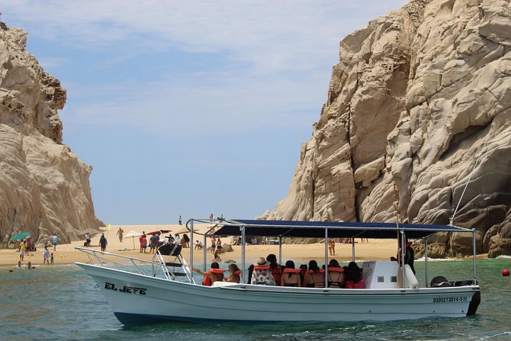 Excursion panoramique en bateau vers l'Arche de Cabo San Lucas, avec faune marine et formations rocheuses, photo 16 | wizardtrip
