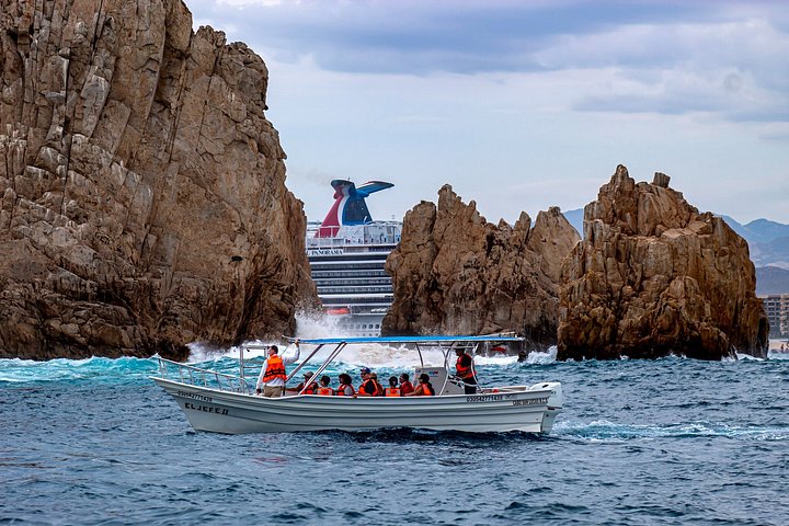Excursion panoramique en bateau vers l'Arche de Cabo San Lucas, avec faune marine et formations rocheuses, photo 18 | wizardtrip