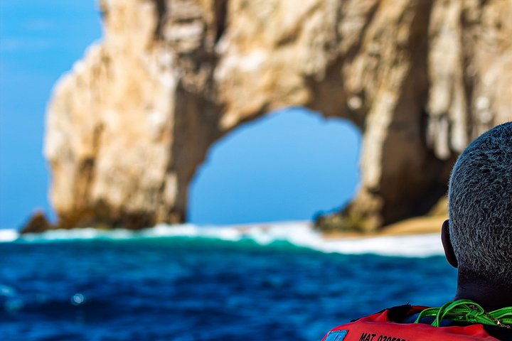 Excursion panoramique en bateau vers l'Arche de Cabo San Lucas, avec faune marine et formations rocheuses, photo 19 | wizardtrip