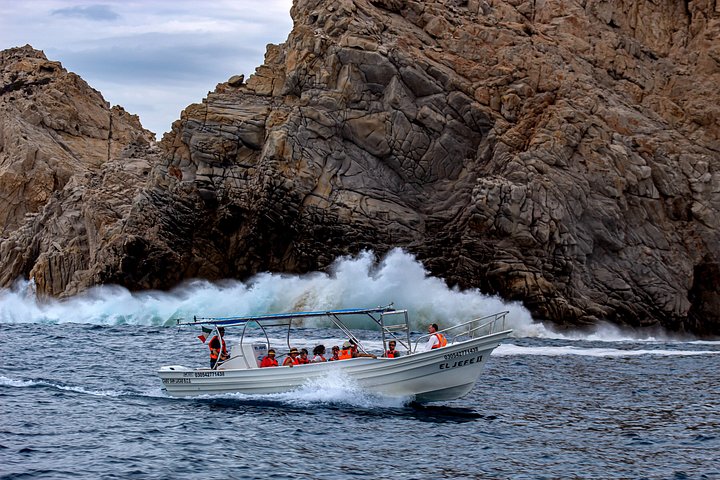 Excursion panoramique en bateau vers l'Arche de Cabo San Lucas, avec faune marine et formations rocheuses, photo 21 | wizardtrip