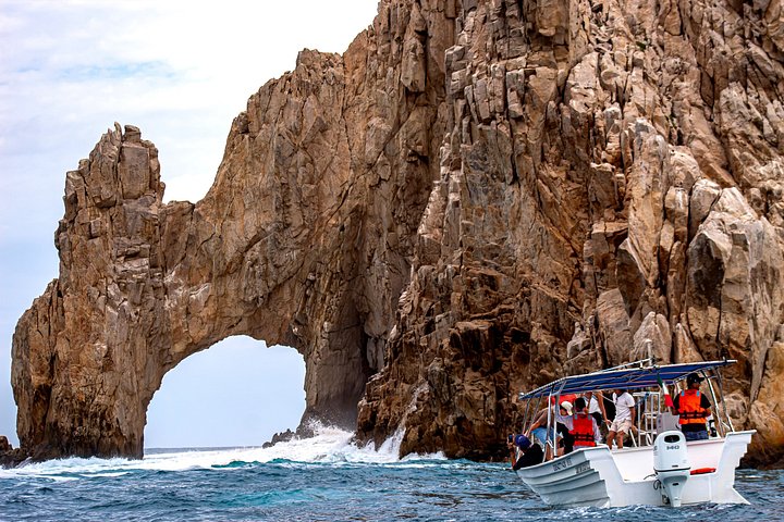 Excursion panoramique en bateau vers l'Arche de Cabo San Lucas, avec faune marine et formations rocheuses, photo 22 | wizardtrip