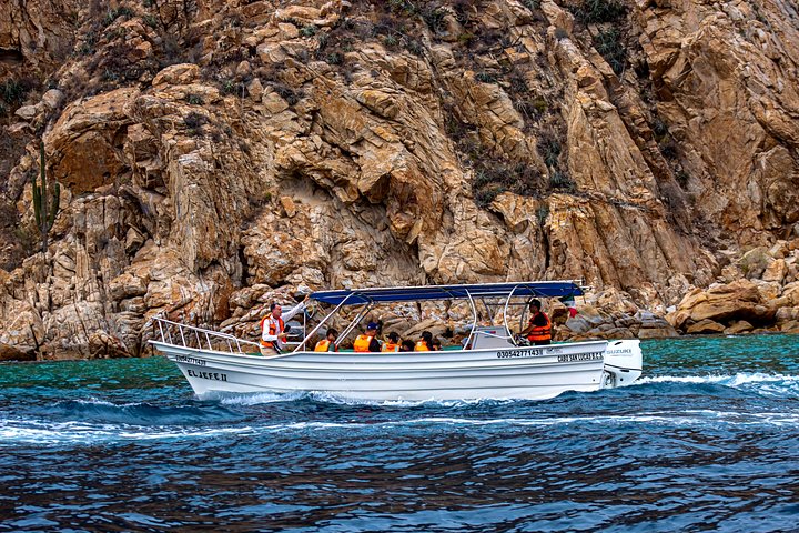 Excursion panoramique en bateau vers l'Arche de Cabo San Lucas, avec faune marine et formations rocheuses, photo 23 | wizardtrip