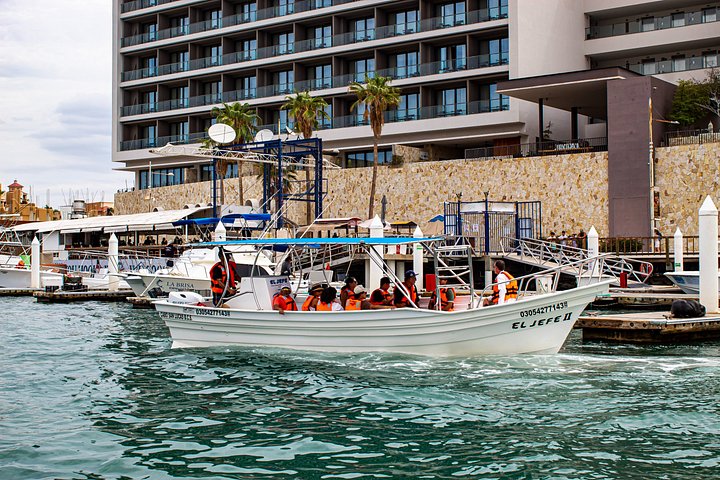 Excursion panoramique en bateau vers l'Arche de Cabo San Lucas, avec faune marine et formations rocheuses, photo 24 | wizardtrip