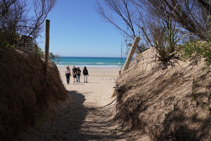 Ganztägige Tour entlang der Great Ocean Road und zu den 12 Aposteln von Melbourne aus, Foto 12 | wizardtrip