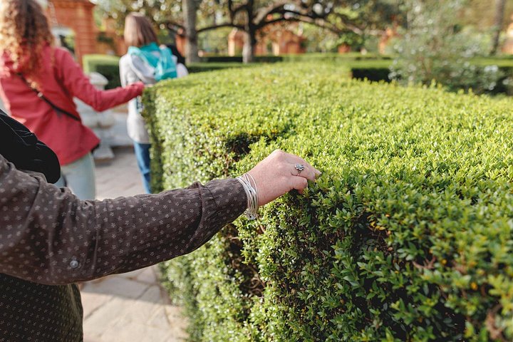 Early access tour of the historic Royal Alcazar palace and gardens in Seville, Spain, photo 27 | wizardtrip