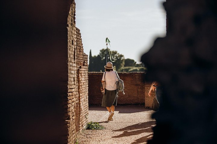 Erkunden Sie das antike Kolosseum, Forum Romanum und Palatin mit speziellem Zugang, Foto 6 | wizardtrip