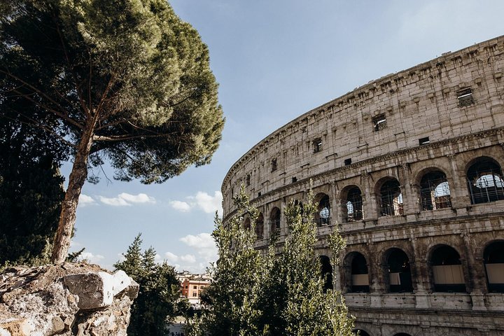 Erkunden Sie das antike Kolosseum, Forum Romanum und Palatin mit speziellem Zugang, Foto 10 | wizardtrip