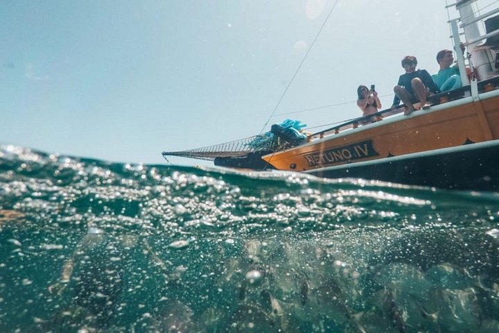 Båttur i Paraty-bukten, Brasilien, med snorkling och strandstopp, foto 14 | wizardtrip