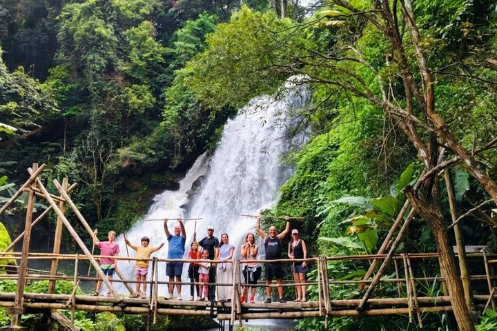 Oplev elefanter, Doi Inthanon og vandreture i Chiang Mai, Thailand, foto 6 | wizardtrip