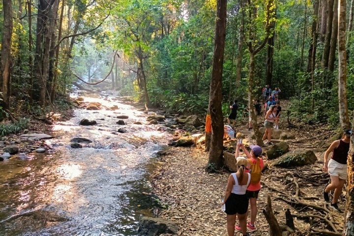 Oplev elefanter, Doi Inthanon og vandreture i Chiang Mai, Thailand, foto 8 | wizardtrip